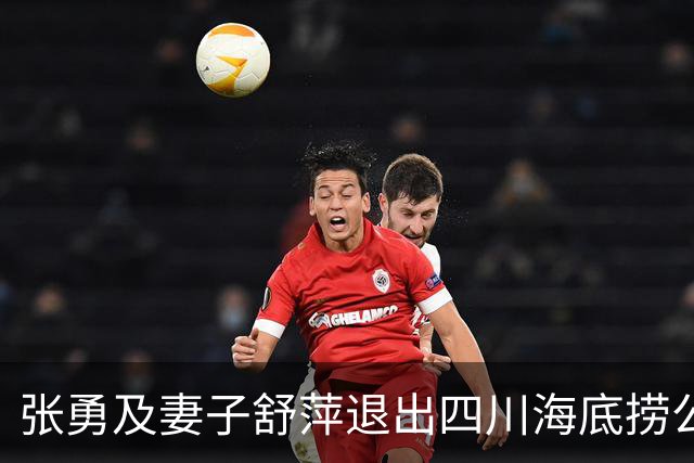 张勇及妻子舒萍退出四川海底捞公司董事会,控制权未变
